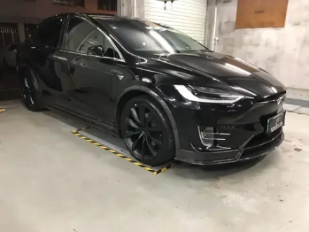 Карбоновые молдинги дверей для Tesla Model X 2016-2018 Тесла