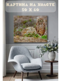 Картина на стену 40 X 50 Совы