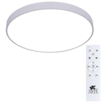 Потолочный светодиодный светильник Arte Lamp ARENA A2671PL-1WH