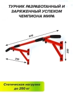 Турник Настенный AKTIV Черный