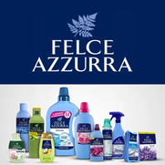 Felce Azzurra