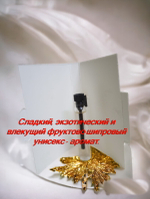Парфюмерная вода женская СвеТLана Mr. Newl C&M068-13 1.7 ml