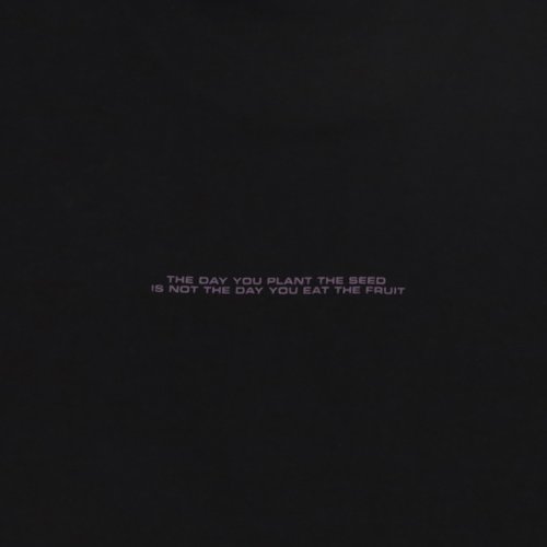 Футболка мужская Carhartt WIP Seeds артикул:I031028 - купить в магазине Дайс