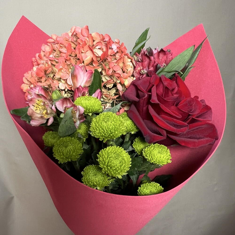 Букет из красной розы, красных альстромерий, гортензии с напылением и зеленой хризантемы в упаковке (в школу 1 сентября)