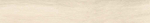 Ribesalbes Bremen Sajonia 10x60