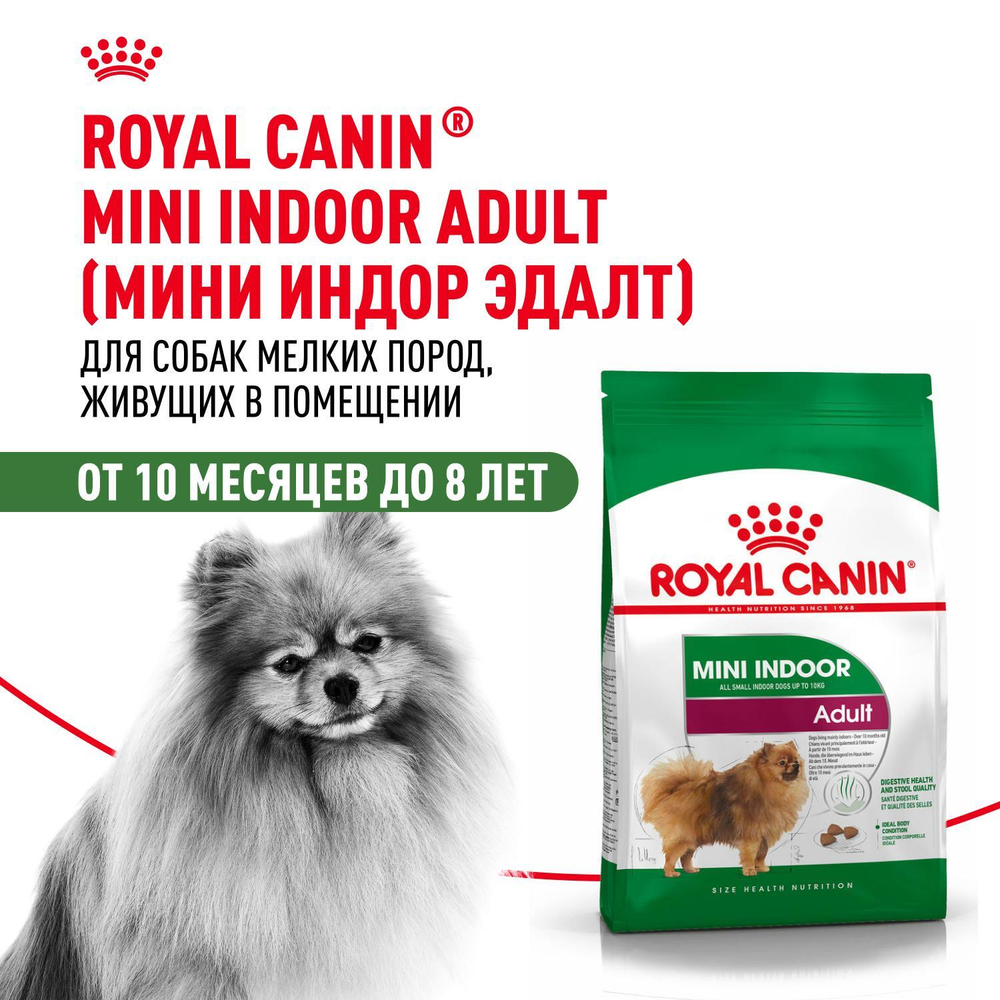 Royal Canin Mini Indoor Adult Мини Индор Эдалт Корм сухой для взрослых собак мелких пород в возрасте от 10 месяцев живущих в помещении 500г
