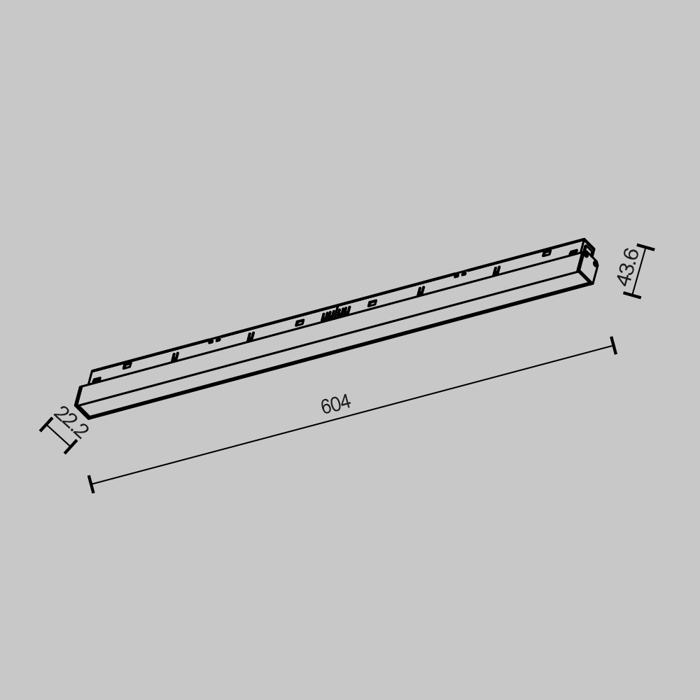 Магнитный трековый светильник Maytoni Basis TR030-2-24W2.7K-B