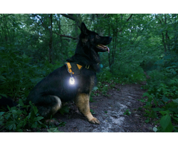 Фонарь Armytek Crystal Pro IR Grey [F10201GIR]