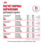 Royal Canin Mini Puppy Мини Паппи Корм сухой для щенков мелких пород в возрасте до 10 месяцев 800 г