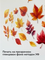 Набор наклеек на окно Осенние листья