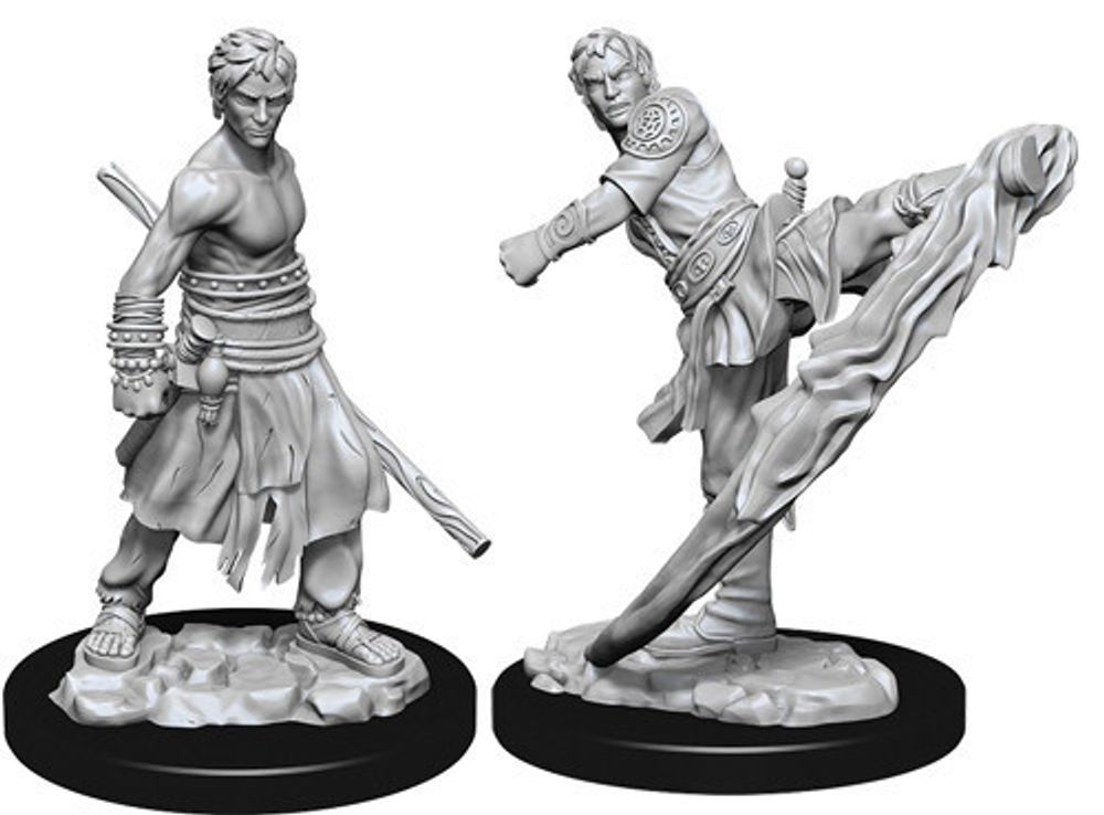 D&amp;D Nolzur's Marvelous Miniatures - Male Half-Elf Monk