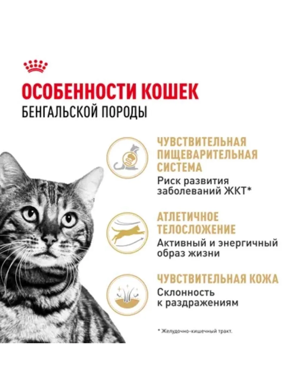 Bengal Корм для кошек бенгальской породы 400г