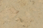 Пробковая настенная плитка Viva Cork Decodalle Twist Cream