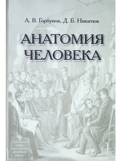 Анатомия человека