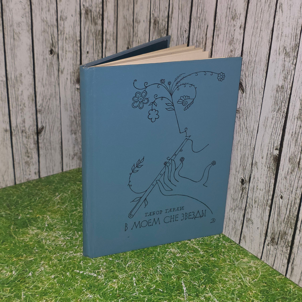 Книга "В моем сне звезды"