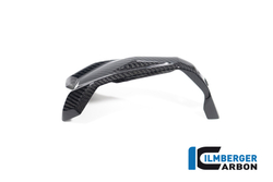 Ilmberger Carbonparts Накладка свечей зажигания правая сторона BMW R 1300RS / GS CG.ZAR.027.R23GS