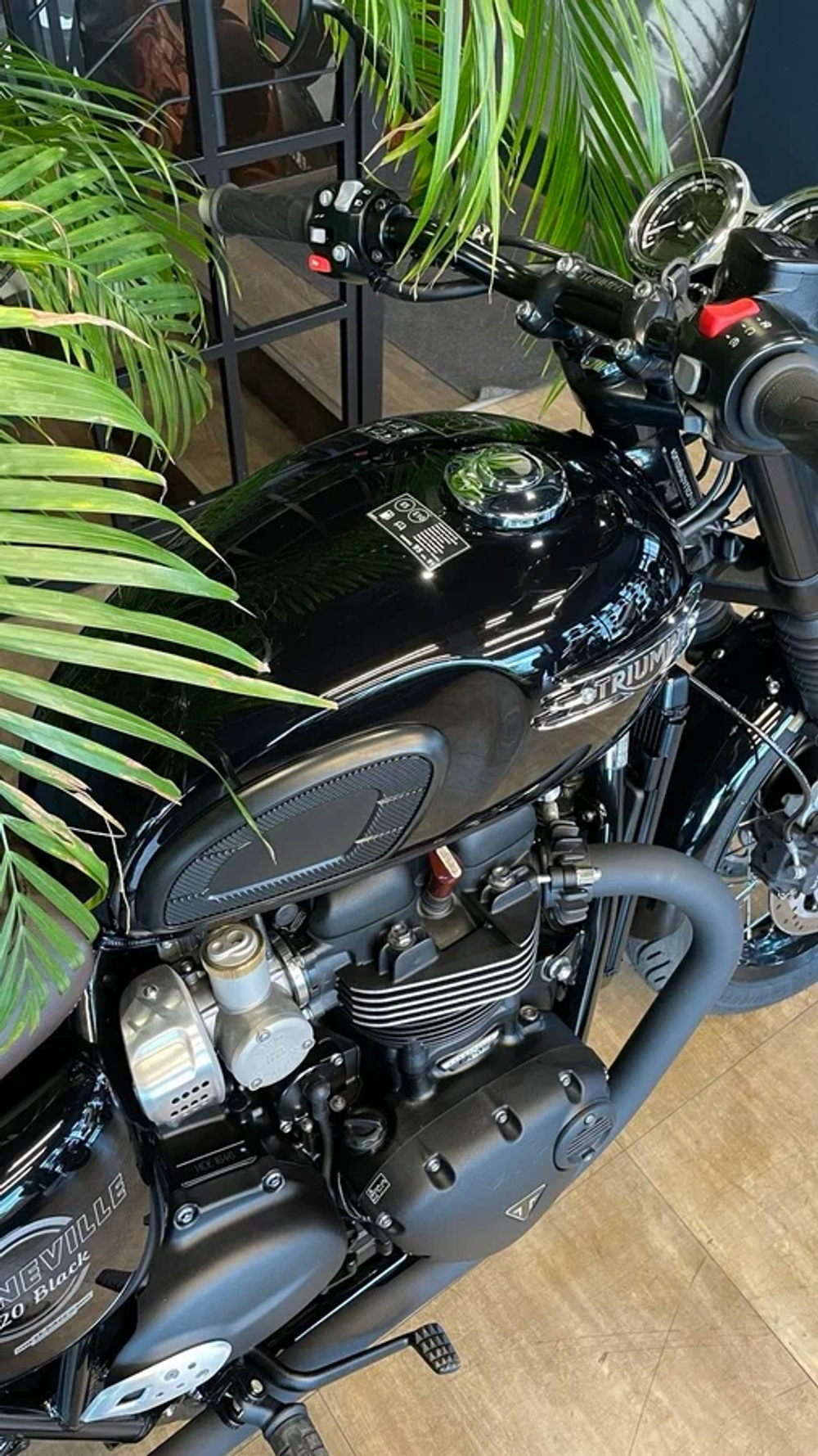 Triumph Bonneville T120, 2025