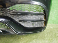 DSCN5490.jpg