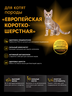 Корм сухой для котят породы Европейская короткошёрстная, с индейкой, 2кг, QUATTRO