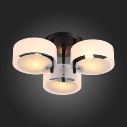 Светильник потолочный Evoluce Foresta SL483.402.03