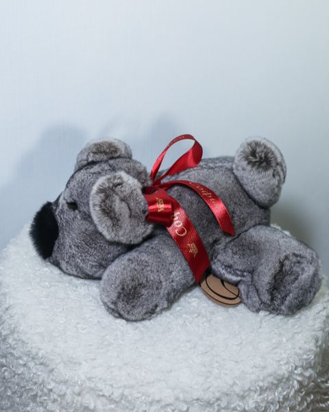 Сделайте своего пушистого друга ещё более личным: именные ленточки 🎀 Сделайте своего пушистого друга ещё более личным: именные ленточки 🎀