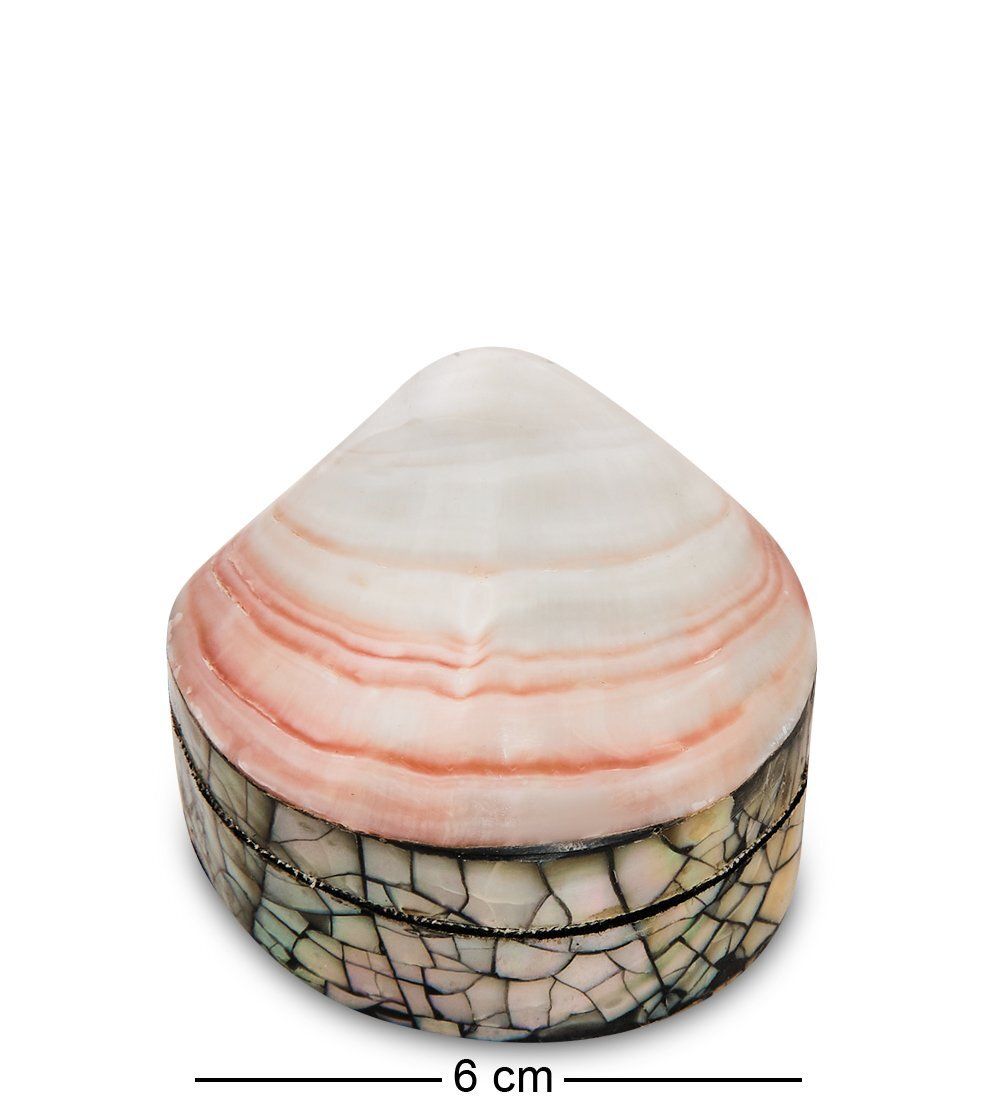 Decor and Gift 54-039-01 Декоративная шкатулка «Ракушка»