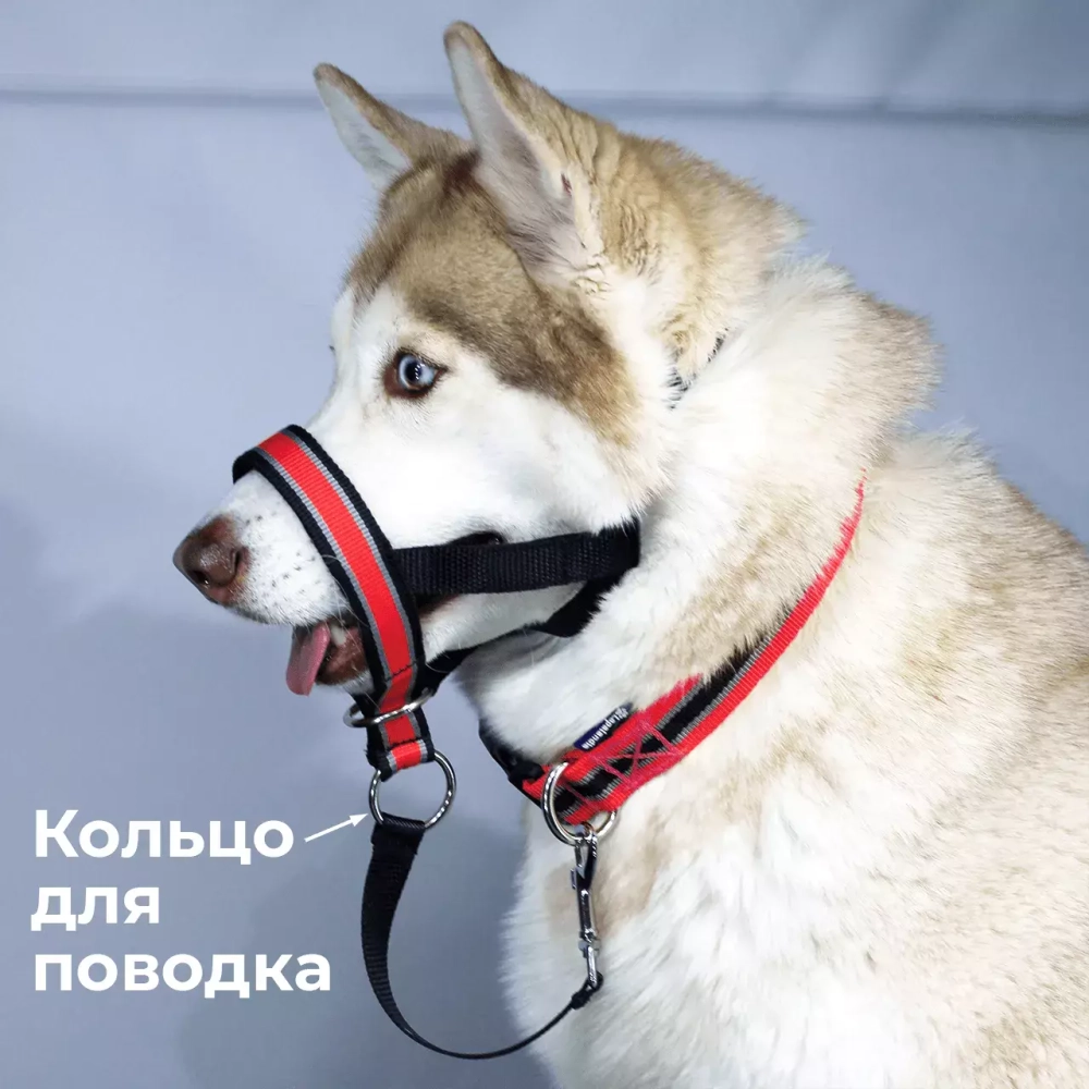 Недоуздок корректор поведения Спорт (Халти) для собак