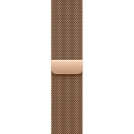 Умные часы Apple Watch Series 11 GPS + Cellular, 42mm, Natural Titanium Case with Gold Milanese Loop