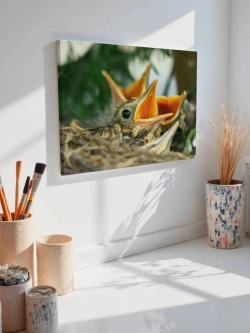 Картина на стену 40 X 50 Птенцы