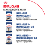 Royal Canin Maxi Puppy Макси Паппи Корм сухой для щенков крупных размеров в возрасте до 15 месяцев 15кг