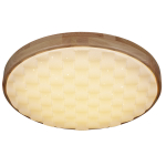 60530-0.2-60W светильник потолочный Reluce, LED
