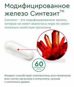 Синтезит ИммуноАктив
