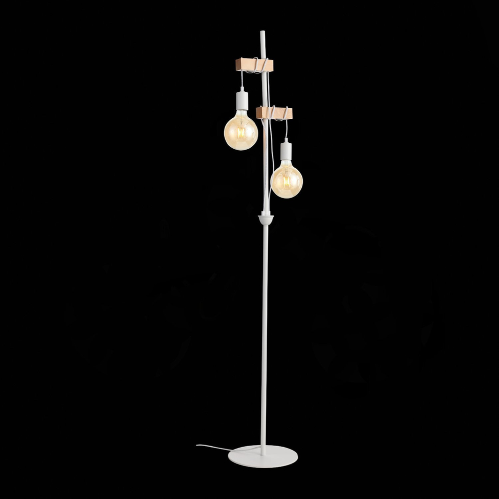 Светильник напольный Evoluce Bagetti SL1142.505.01