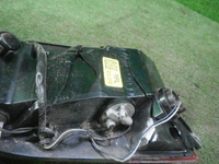 DSCN8618.JPG