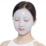 VT COSMETICS Маска для лица двухступенчатая гидрогелевая увлажняющая Hydrop Reedle Shot 100 2Step Mask