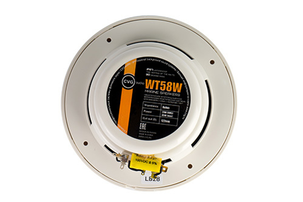 CVGaudio WT58W