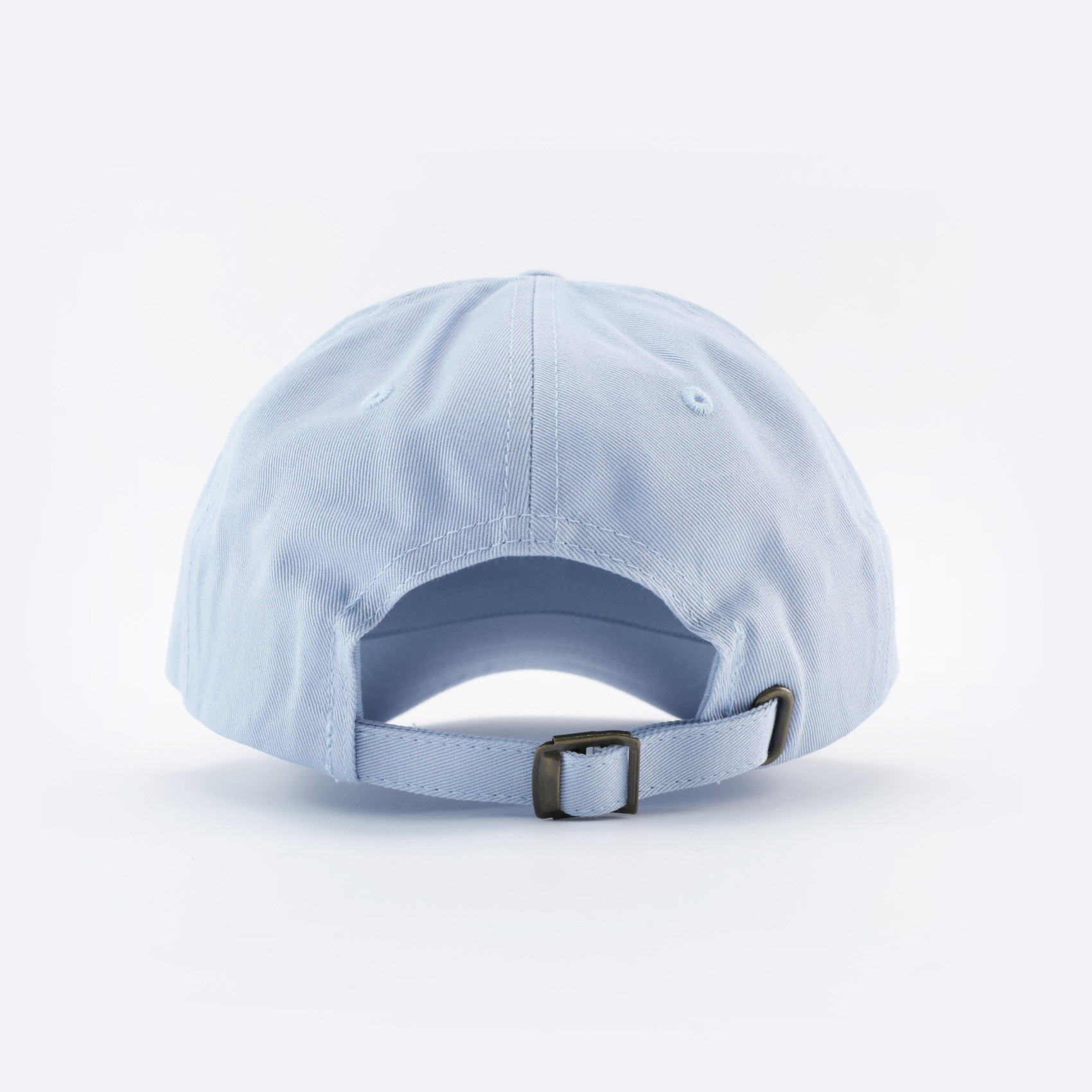 Кепка Passenger Logo (LIGHT BLUE) артикул: - купить в магазине Дайс