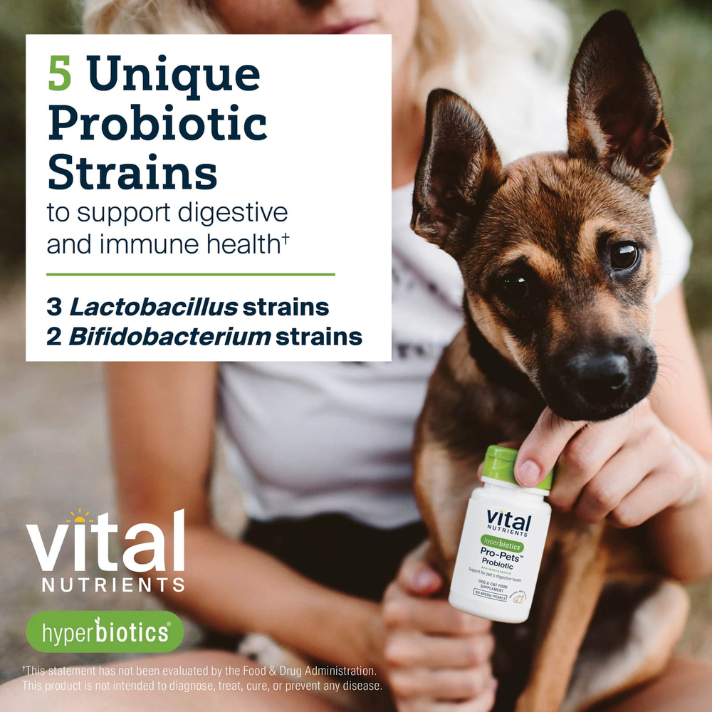 Vital Nutrients, Hyperbiotics®, Pro-Pets ™, пробиотик, для собак и кошек, натуральное мясо, 60 микрогранул