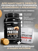 Протеин сывороточный со вкусом бисквита 900 гр 30 порций