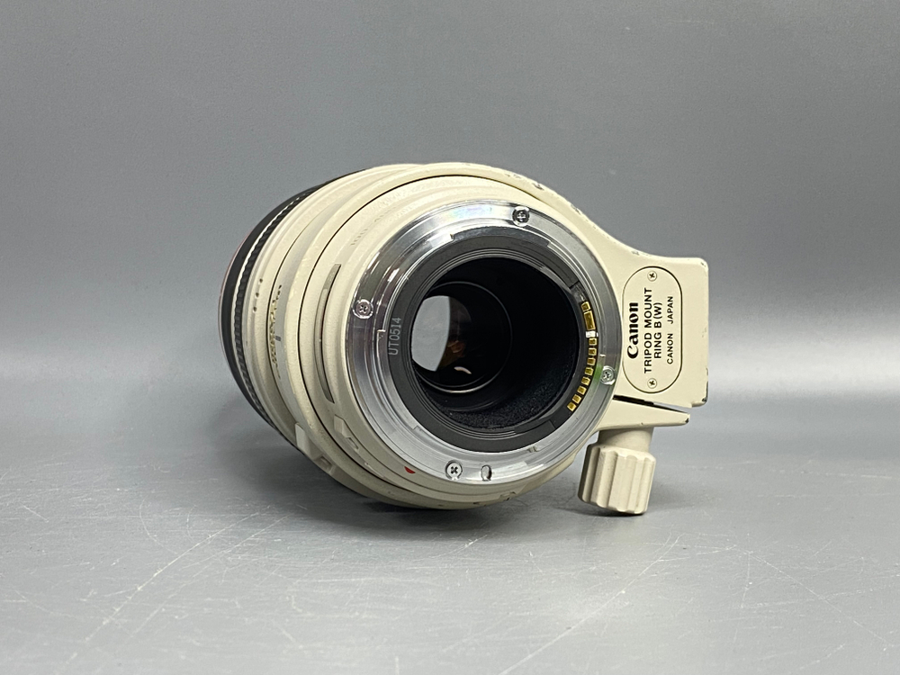 Canon EF 100-400mm 4.5-5.6L IS USM