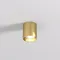 Точечный светильник SHINE TUBE | ШАЙН ТЬЮБ DK2610-SB Denkirs