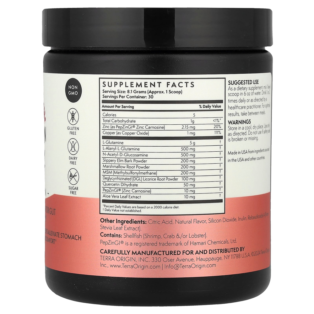 Terra Origin, Healthy Gut™, добавка для здоровья кишечника, со вкусом арбуза, 243 г (8,57 унции)