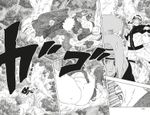 Naruto. Наруто. Книга 11. В поисках Саскэ!!!