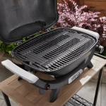 Газовый гриль Weber Q 2100N
