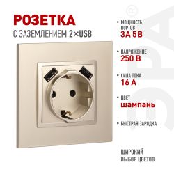 Розетка ЭРА Elegance 14-4109-04 2P+E 16A-250В штор. с 2xUSB 5В-3А шампань | Эра Elegance