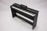 Pierre Cesar DP-12-H
