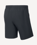 Шорты CAMP 2 Woven Shorts, темно-серый