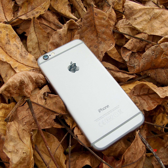 Что Вам необходимо починить? Прайс по ремонту iPhone 6 / 6S / 6 Plus / 6S Plus