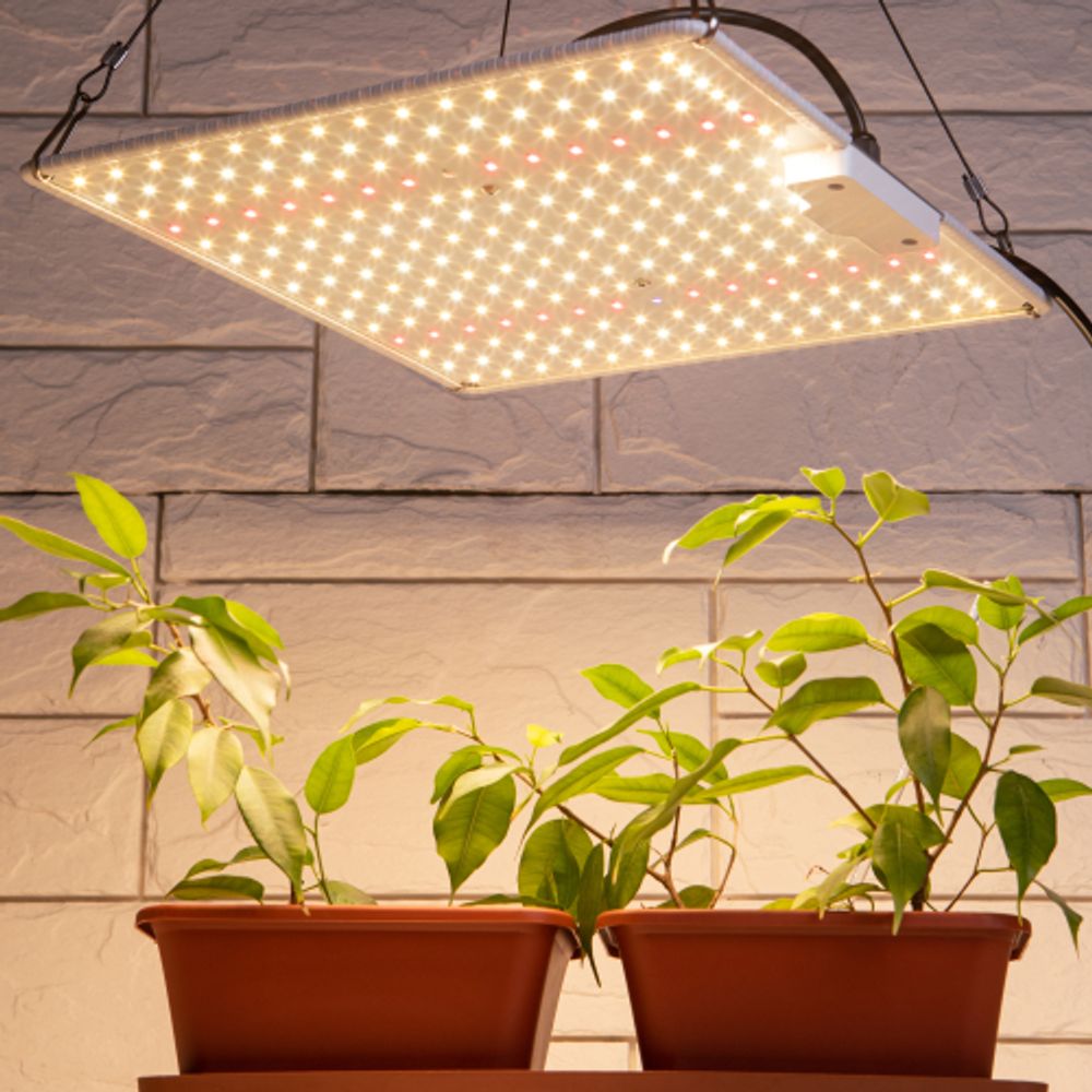 Квантум борд ЭРА FITO-80W-LED-QB Quantum board фитопрожектор полного спектра 80 Вт 3500К | Квантум борды (Quantum board)