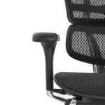 Кресло FALTO Ergohuman Elite 2 с подножкой ( чёрный каркас /сетка чёрный T-168-B1 Black )